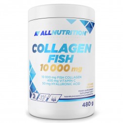 AllNutrition Collagen Fish 10000mg  480g