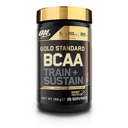 ON BCAA Train   Sustain  266g  Bcaa amino rūgštys gera kaina