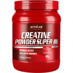 ActivLab Creatine Powder Super  500g